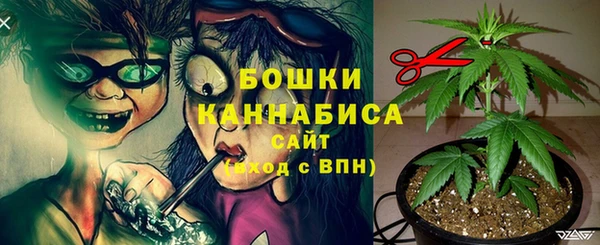 дурь Белоозёрский