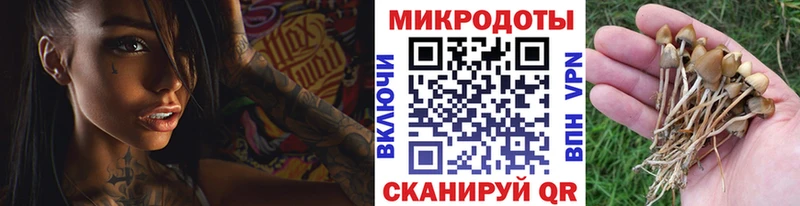 Галлюциногенные грибы MAGIC MUSHROOMS Саяногорск